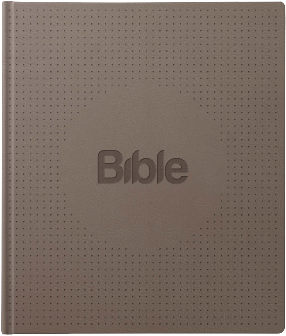 Bible21